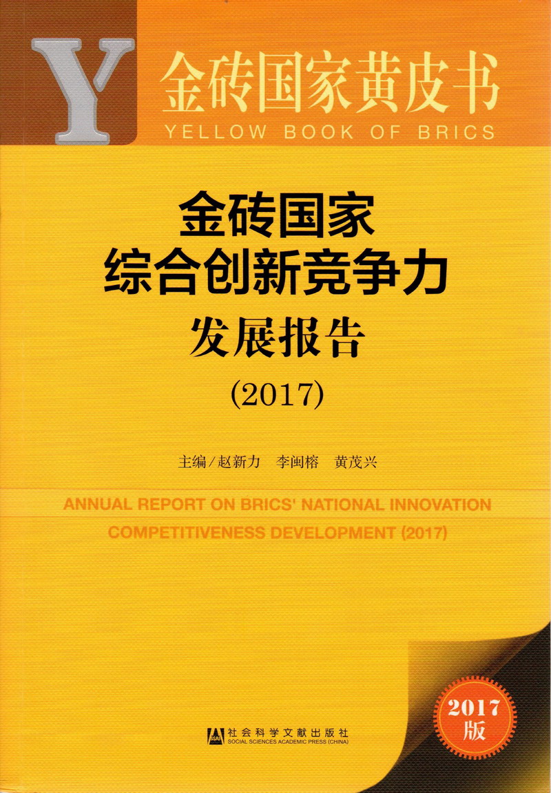 操老女人屄在线视频金砖国家综合创新竞争力发展报告（2017）